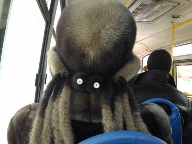 Morning Picdump