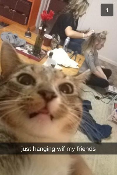 Morning Picdump
