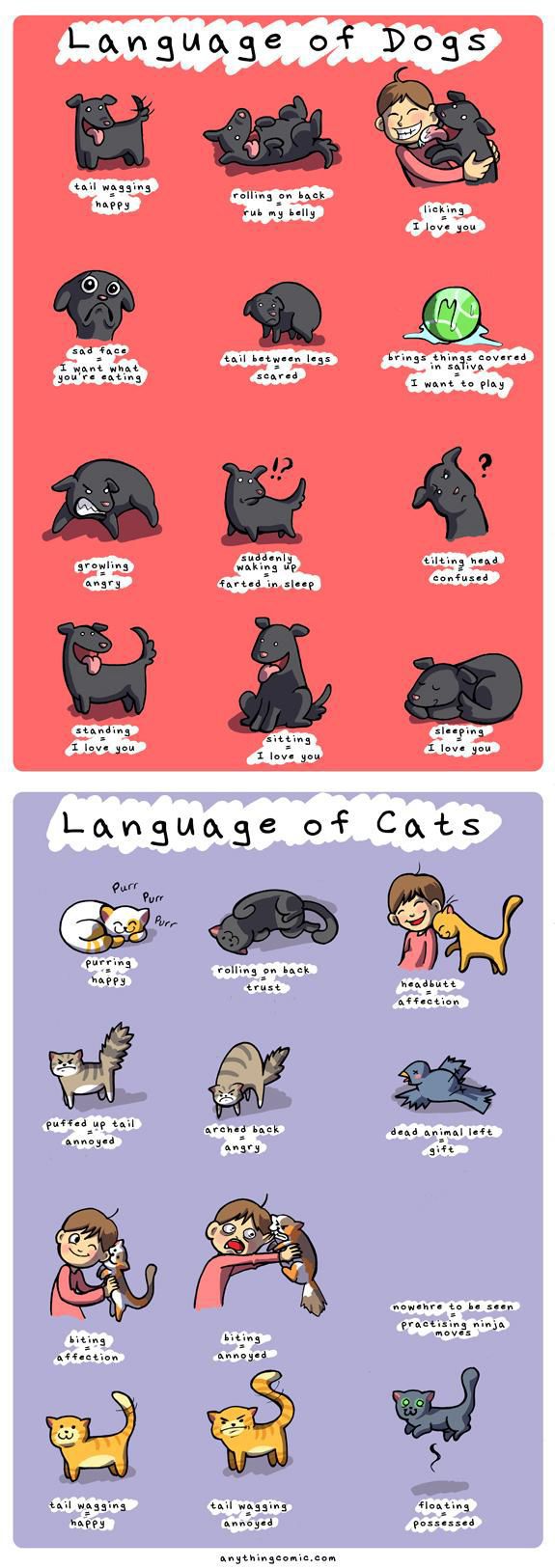 Morning Picdump