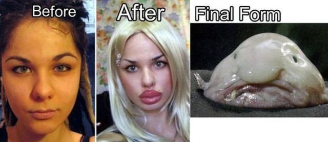Morning Picdump