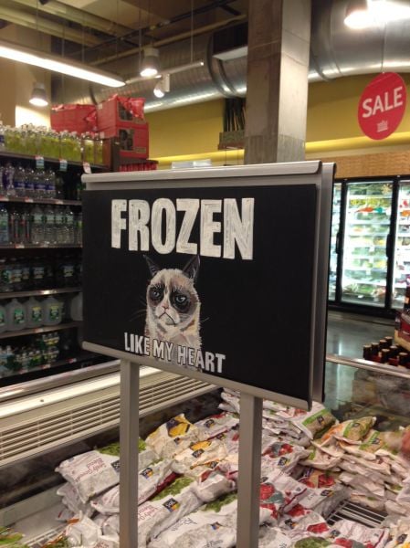 Daily Picdump