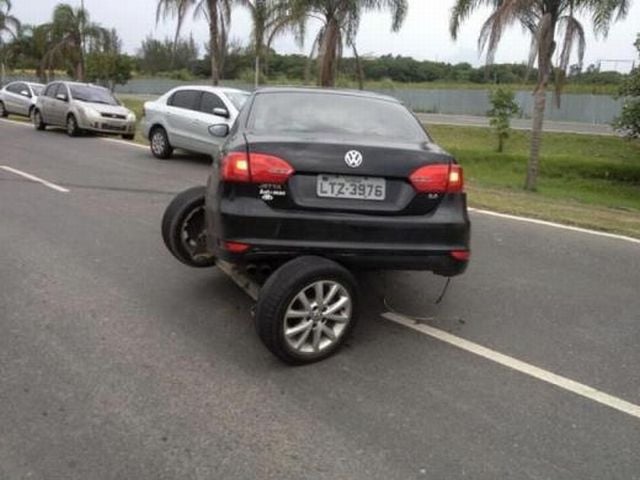 Daily Picdump