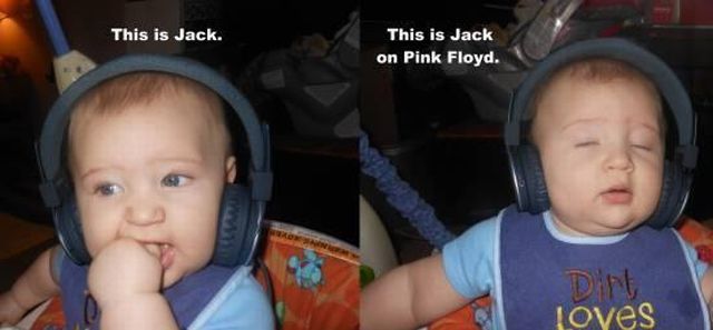 Daily Picdump