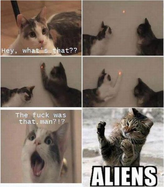 Daily Picdump