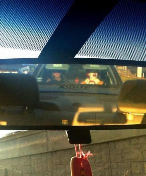 Daily Picdump