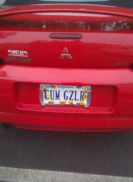 Daily Picdump