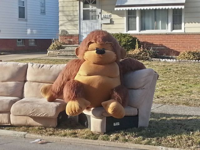 Daily Picdump