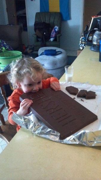 Daily Picdump