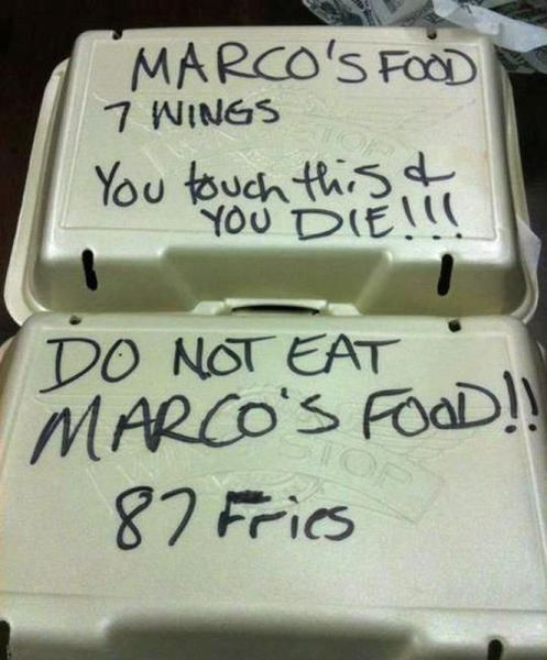 Daily Picdump