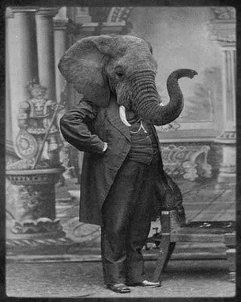 Disturbingly Odd People from the Past