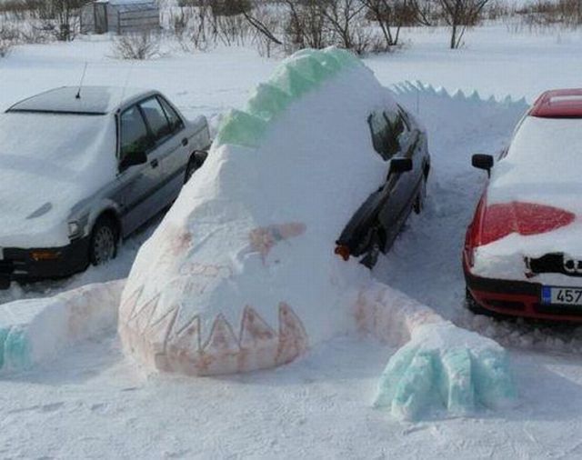 Morning Picdump