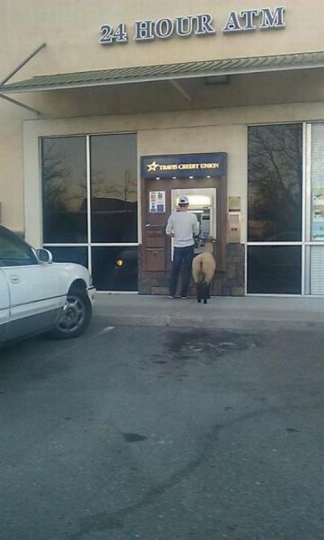 Morning Picdump