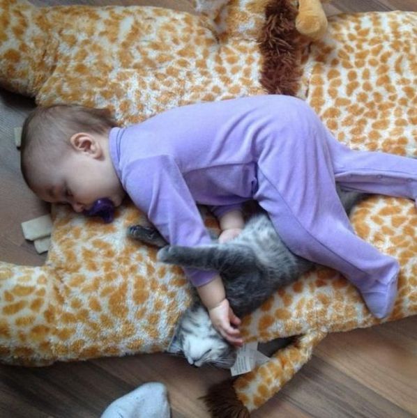 Morning Picdump