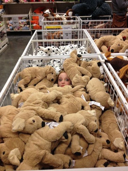 Morning Picdump