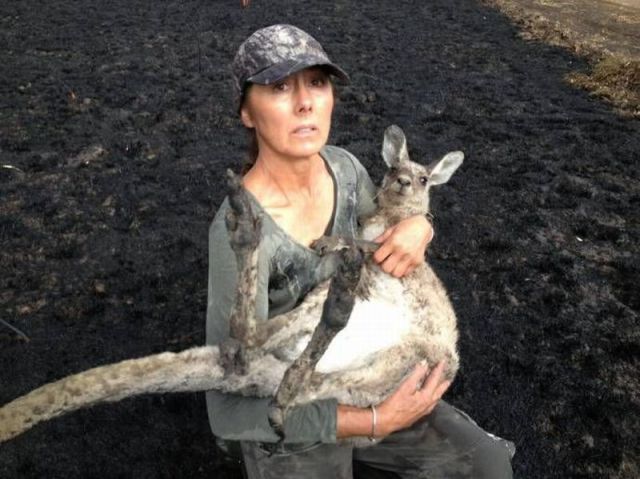 Morning Picdump