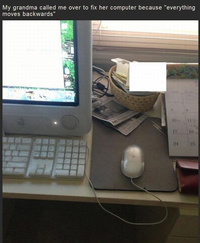 Morning Picdump