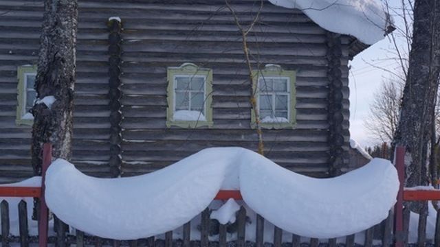 Daily Picdump