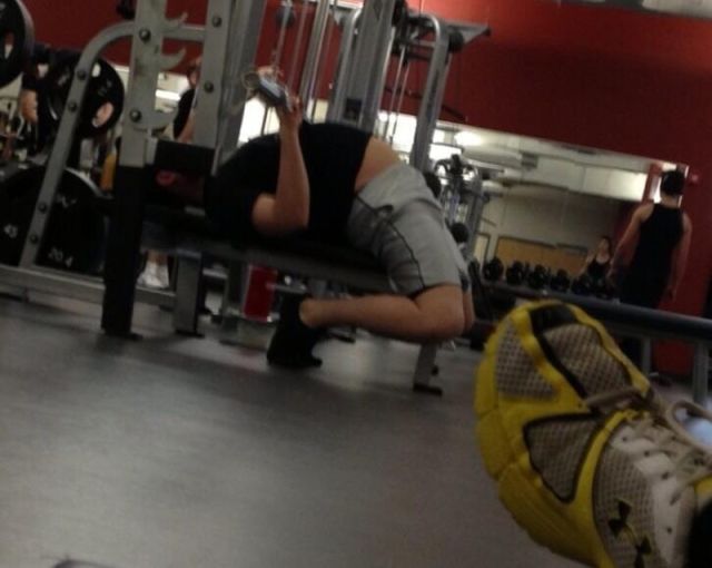 Daily Picdump