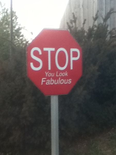 Daily Picdump