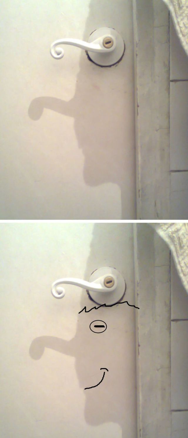 Daily Picdump