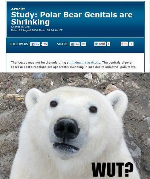 Morning Picdump