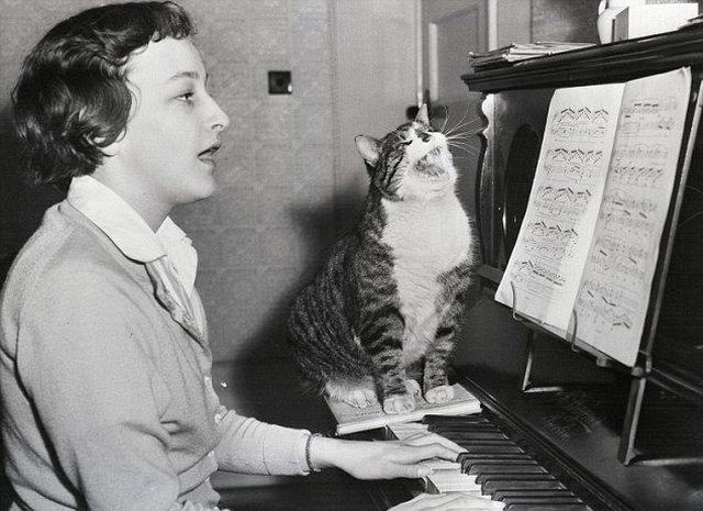 Morning Picdump