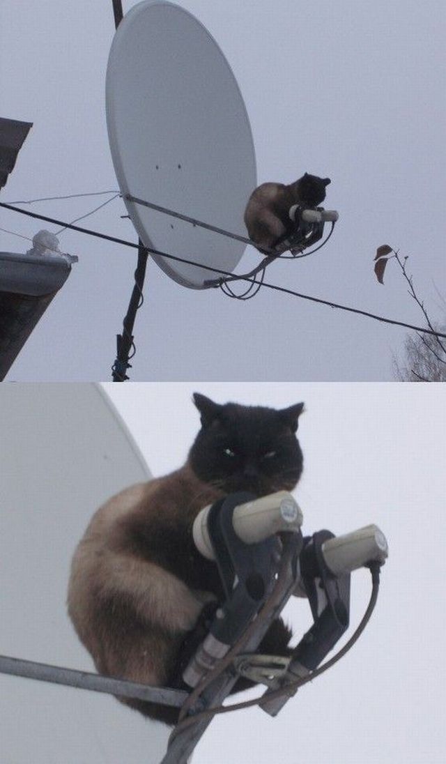 Daily Picdump [WEEKEND EDITION]