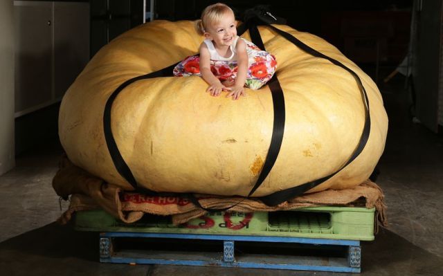 Morning Picdump