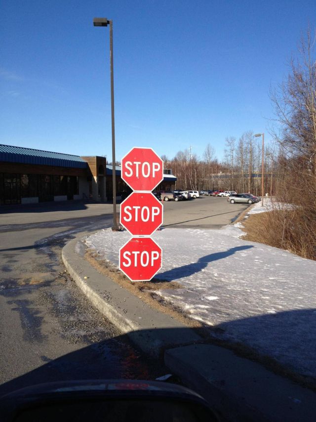 Morning Picdump