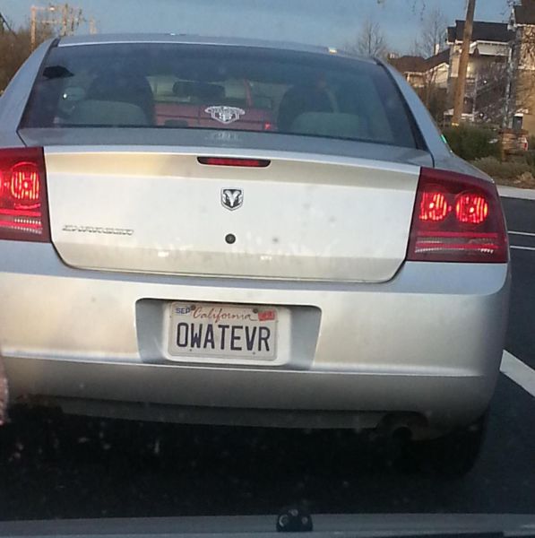 Morning Picdump