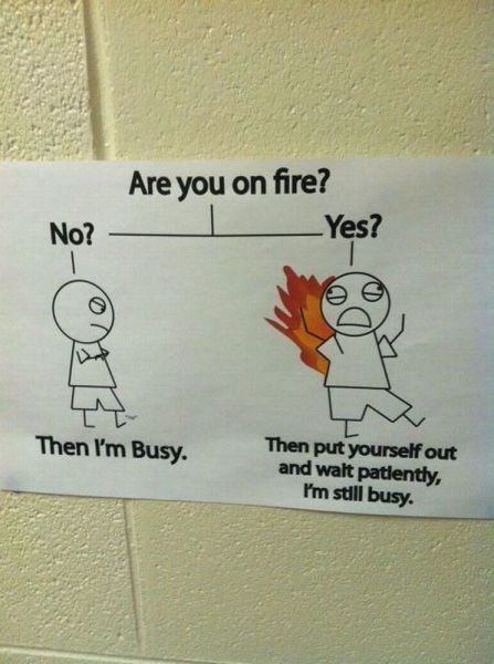 Morning Picdump