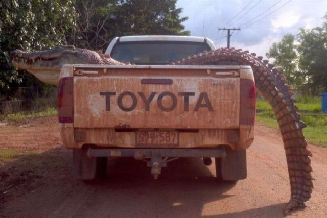 Morning Picdump