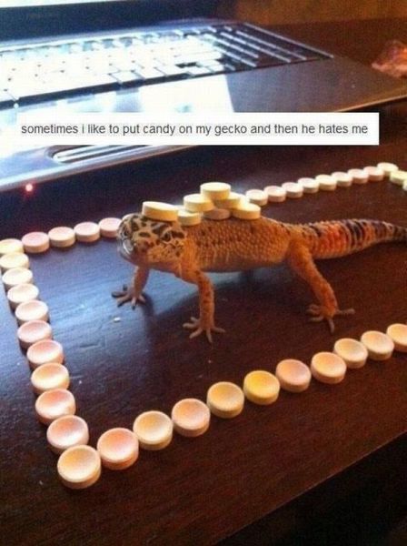 Morning Picdump