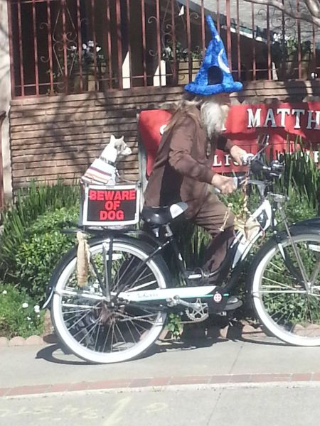 Morning Picdump