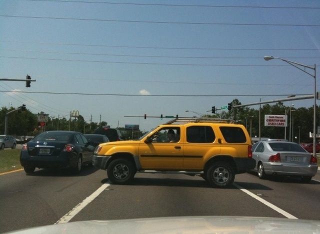 Morning Picdump