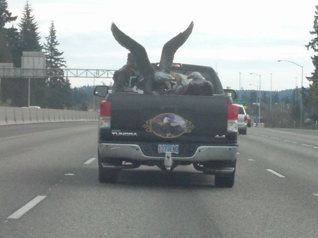 Morning Picdump