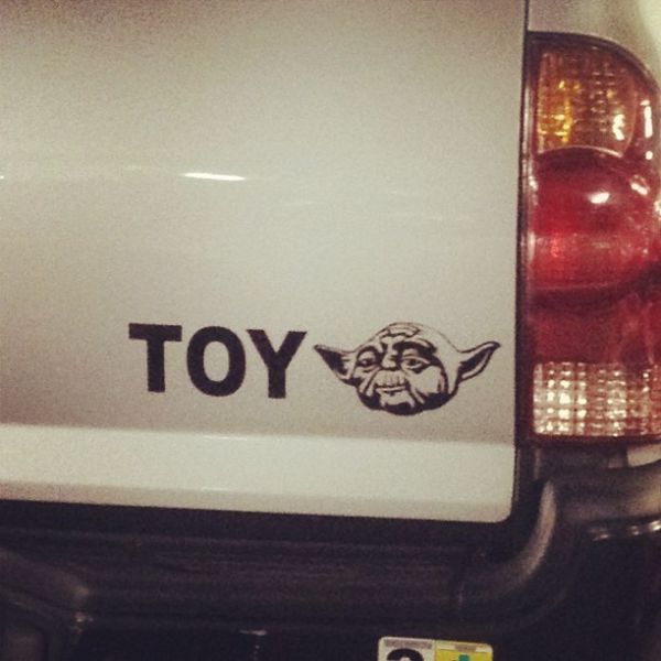 Morning Picdump