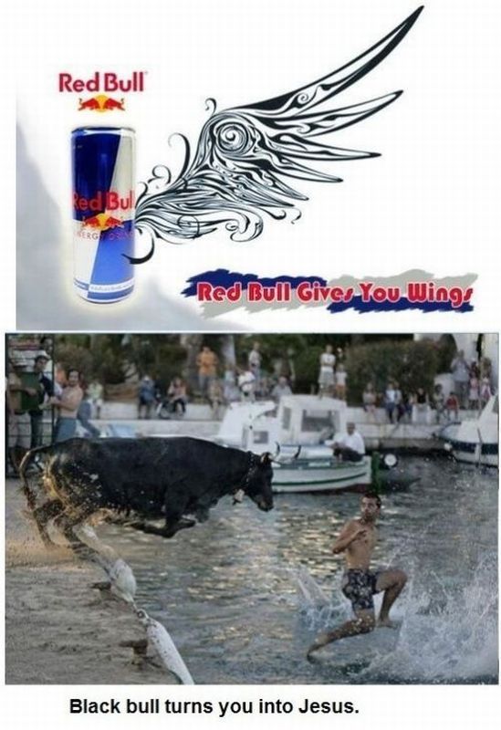 Morning Picdump