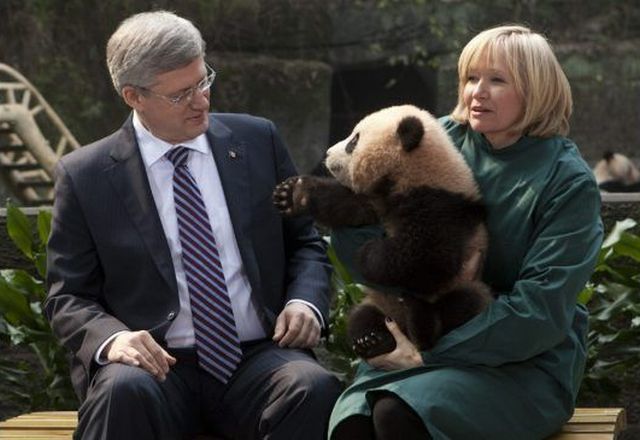 Morning Picdump