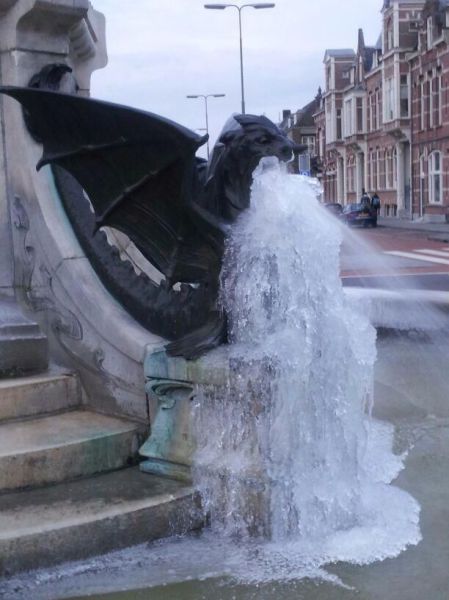 Morning Picdump