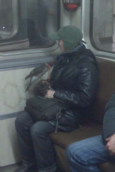 Daily Picdump