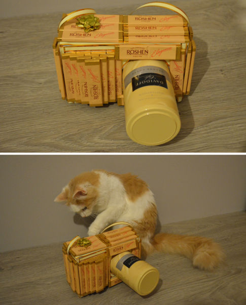 Daily Picdump