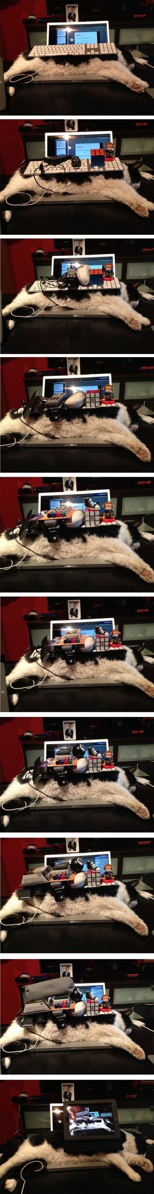 Daily Picdump