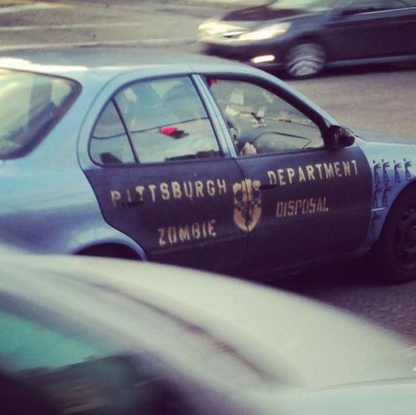 Morning Picdump