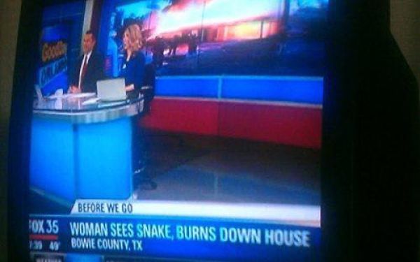 Morning Picdump