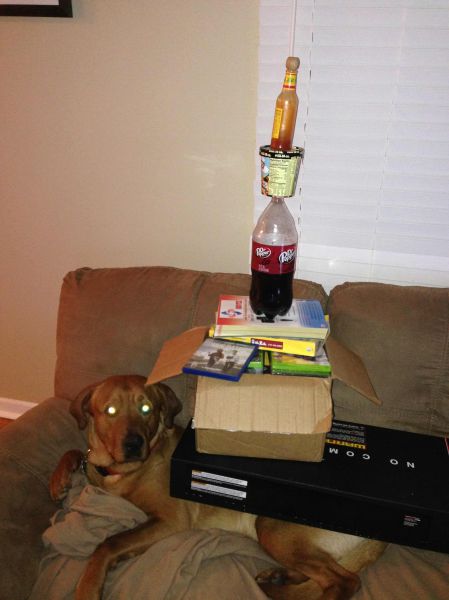 Morning Picdump