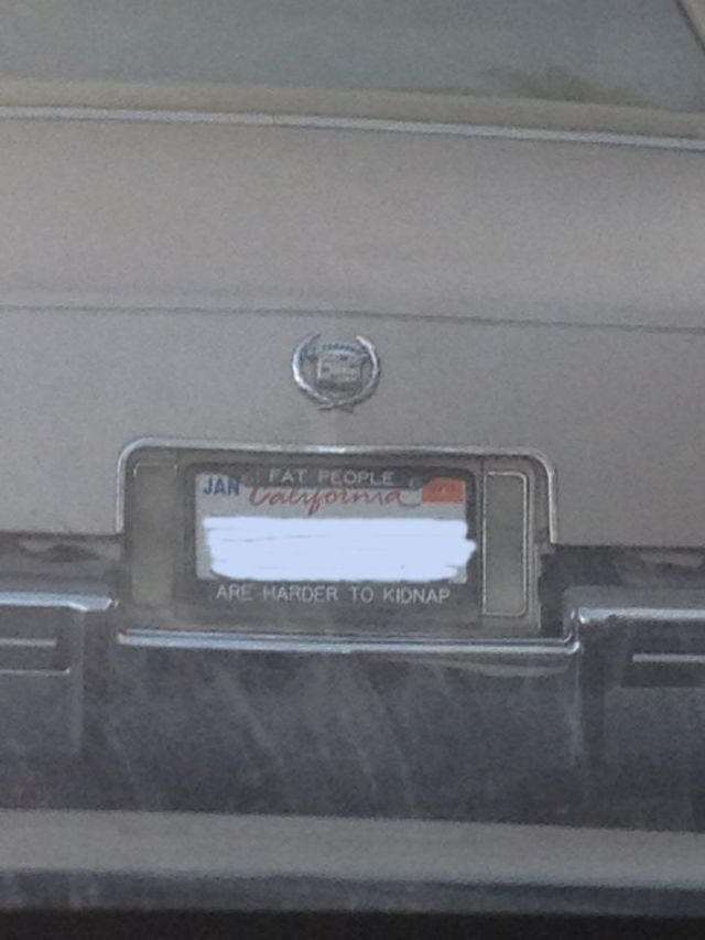 Morning Picdump