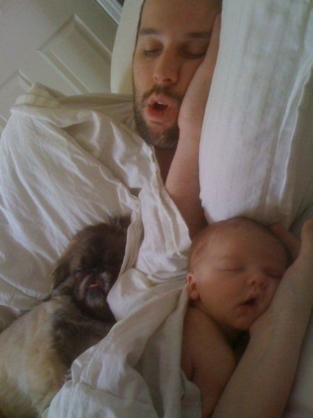 Morning Picdump