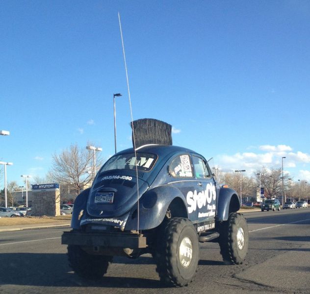 Morning Picdump