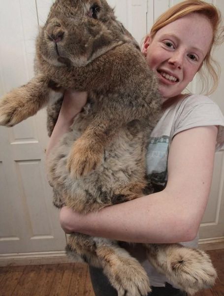 Morning Picdump
